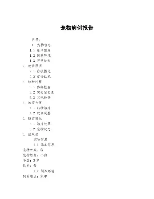 宠物病例报告