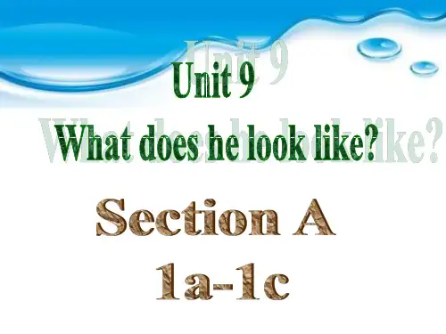 Unit-9-What-does-he-look-like-[Section-A-1a-1c]课件