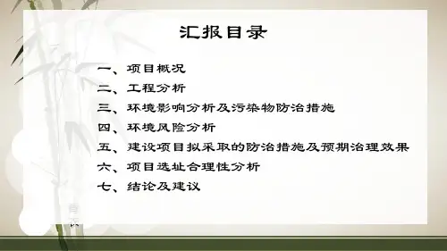 县加油站项目环境影响评价报告表评审专家汇报