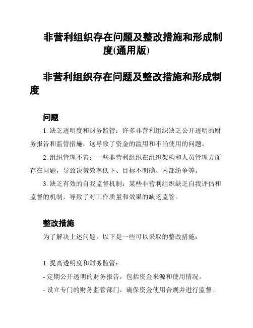 非营利组织存在问题及整改措施和形成制度(通用版)