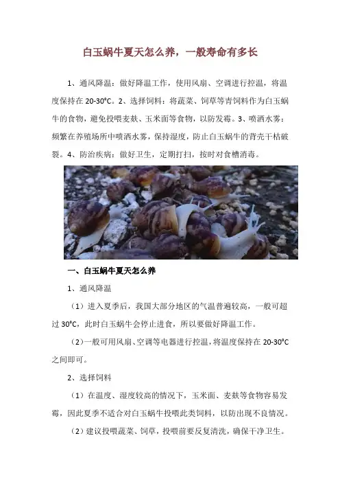白玉蜗牛夏天怎么养,一般寿命有多长