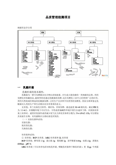 乳酸菌的培养检测方案
