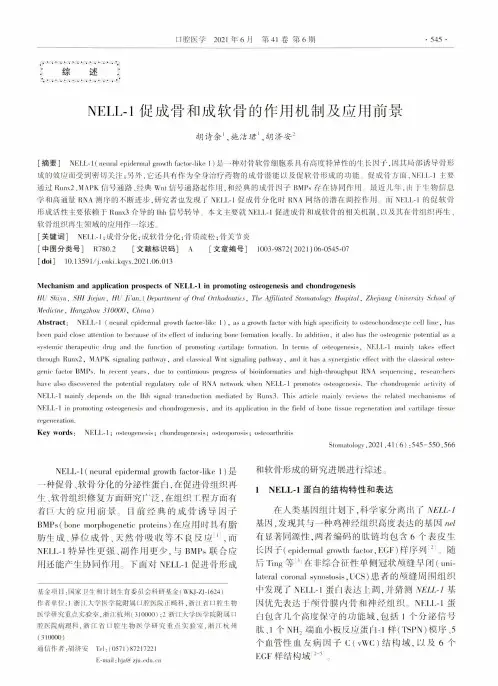 NELL-1促成骨和成软骨的作用机制及应用前景