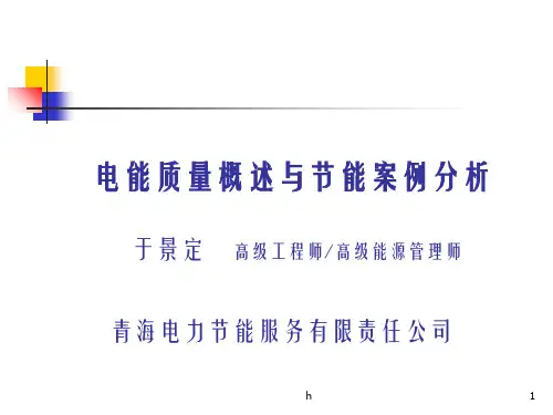 电能质量概述与节能案例分析