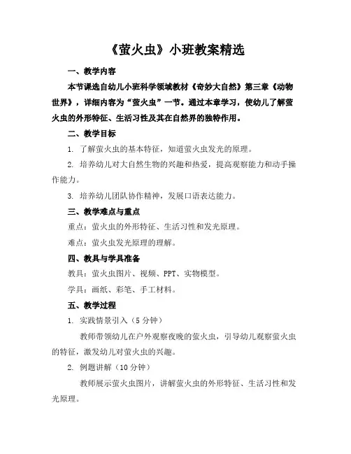 《萤火虫》小班教案精选