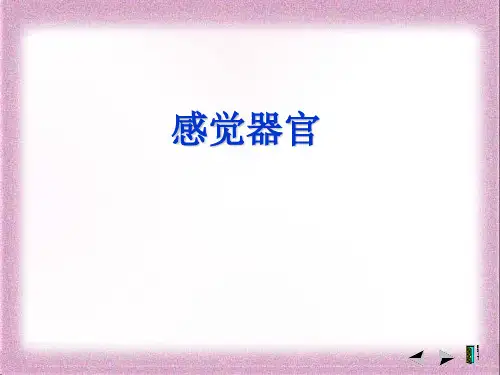 感觉器官