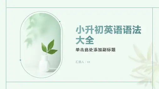 小升初英语语法大全