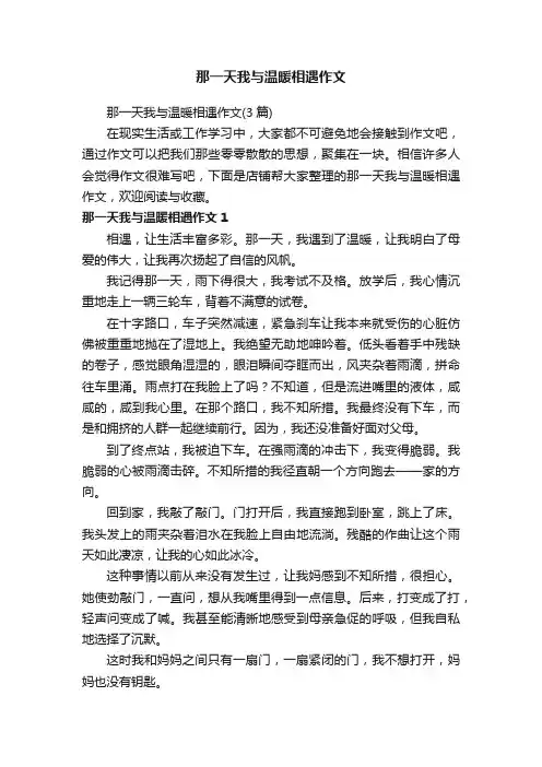 那一天我与温暖相遇作文