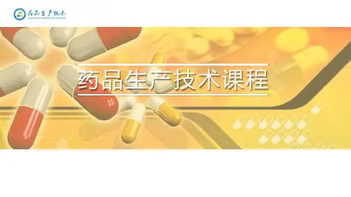 DOP中试生产工艺流程--PPT(精)
