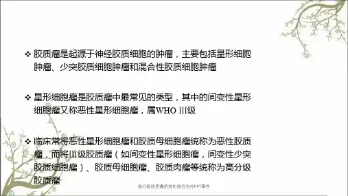 高分级胶质瘤的放化综合治疗PPT课件