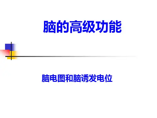 本科生课程-9-神经系统高级功能脑电图睡眠与觉醒剖析