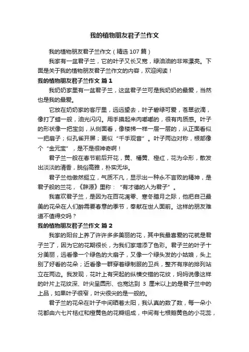 我的植物朋友君子兰作文（精选107篇）
