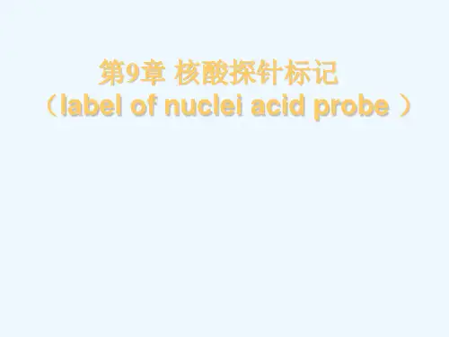 核酸探针标记