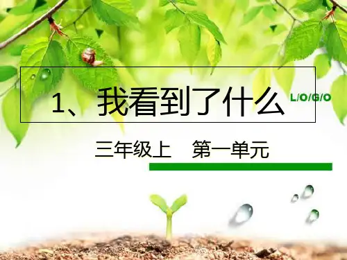 《我看到了什么》PPT课文分析1