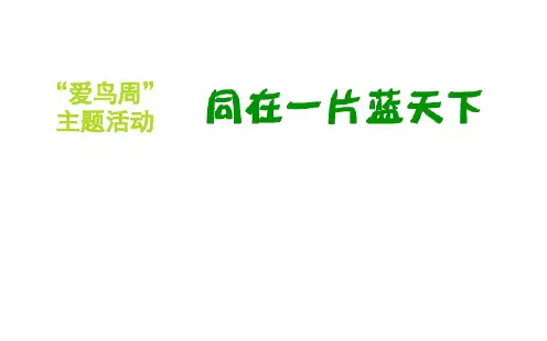 爱鸟周PPT