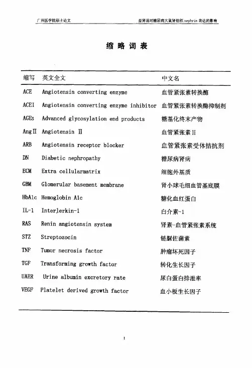益肾汤对糖尿病大鼠肾组织nephrin表达的作用