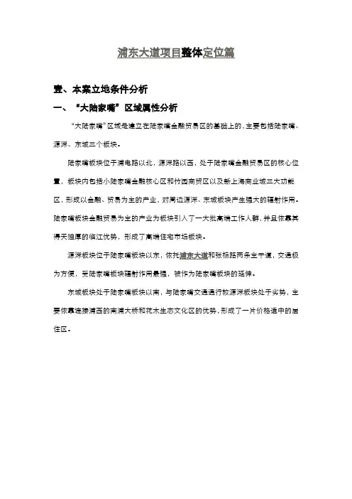浦东大道项目整体定位篇