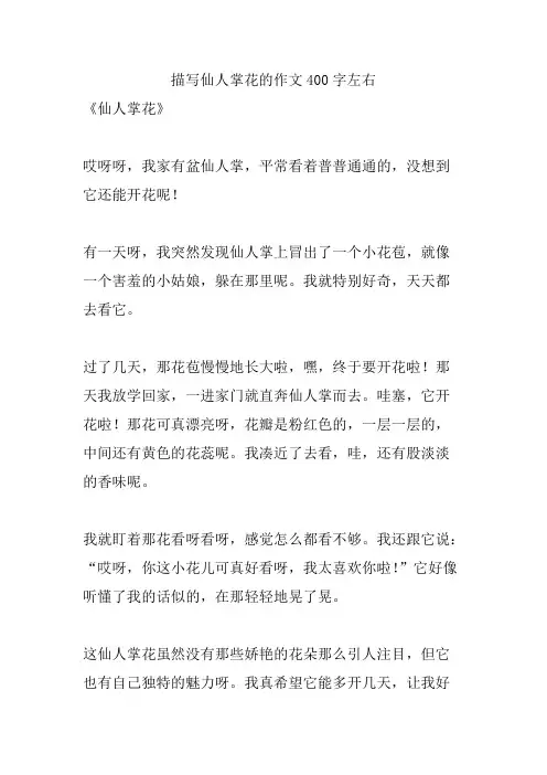 描写仙人掌花的作文400字左右
