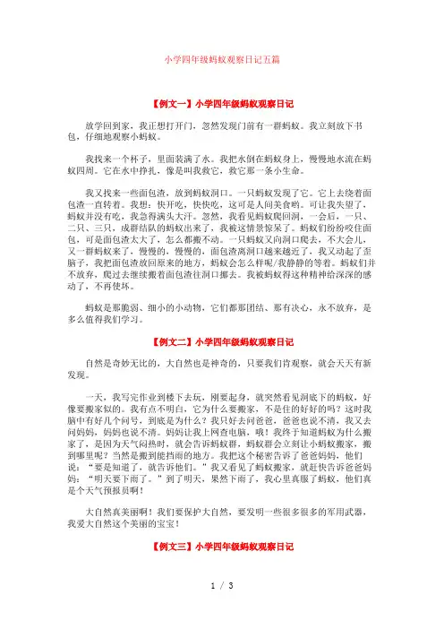 小学四年级蚂蚁观察日记五篇