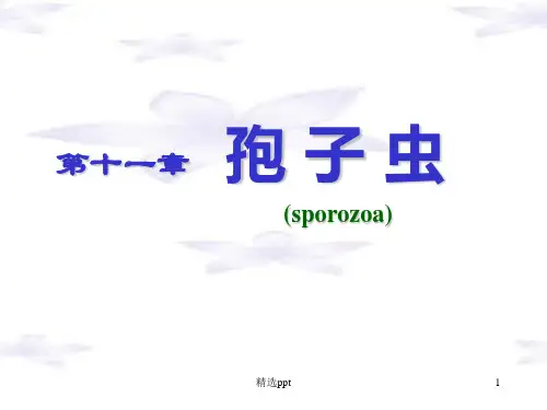 《疟原虫弓形虫朱》PPT课件