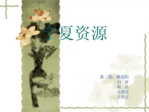 宁夏资源