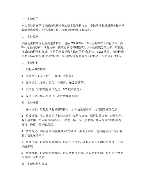 核酸实验报告小结