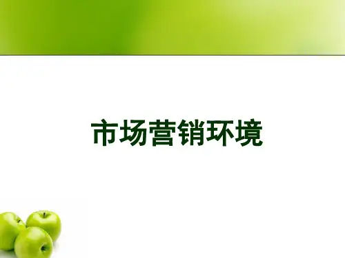 市场营销环境 PPT-