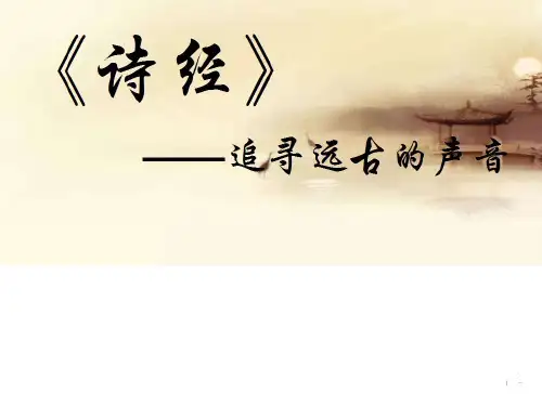 蒹   葭-(完美版)ppt