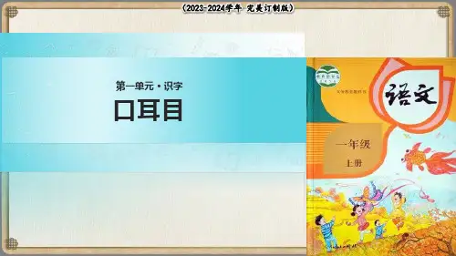 耳口目   课件(共17张PPT)