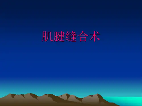 肌腱缝合术