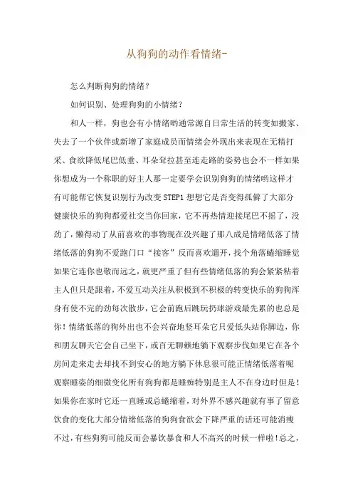 从狗狗的动作看情绪--怎么判断狗狗的情绪？_1