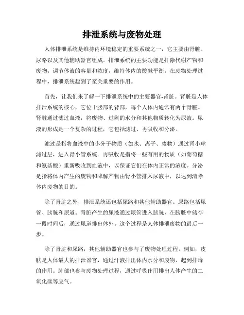 排泄系统与废物处理