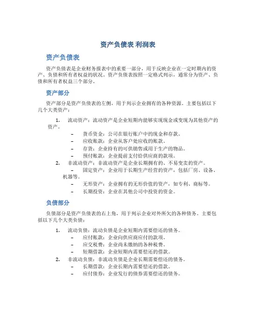 资产负债表 利润表