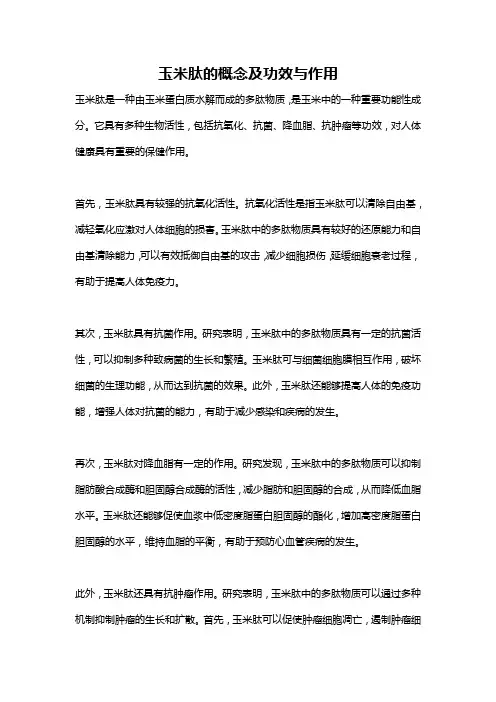 玉米肽的概念及功效与作用