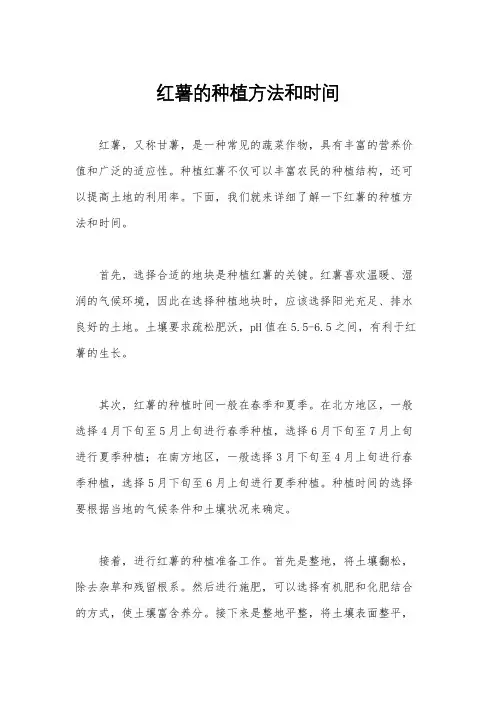 红薯的种植方法和时间