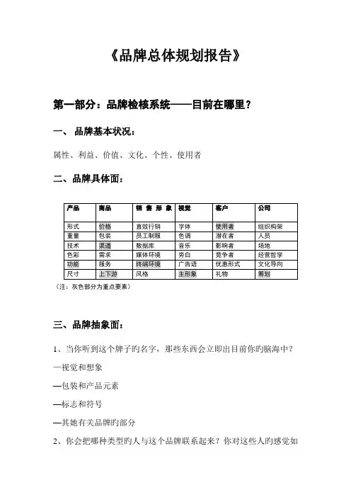 品牌总体重点规划报告