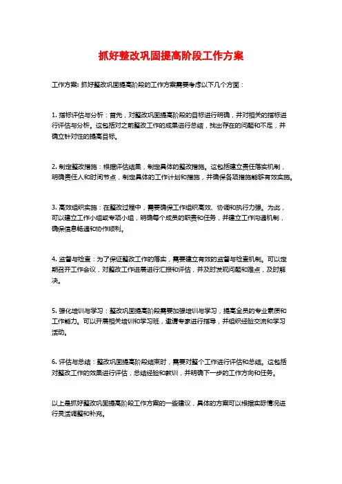 抓好整改巩固提高阶段工作方案