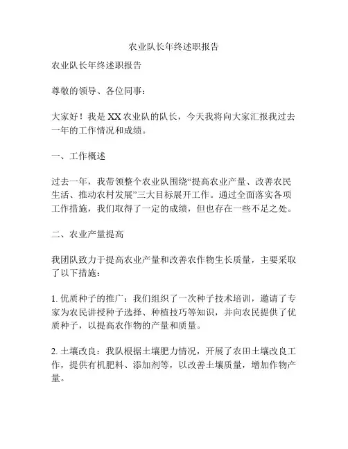 农业队长年终述职报告