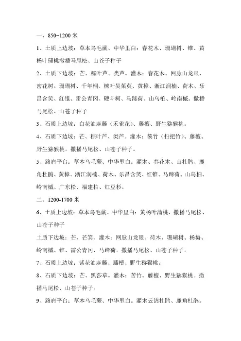 公路边坡植物配置