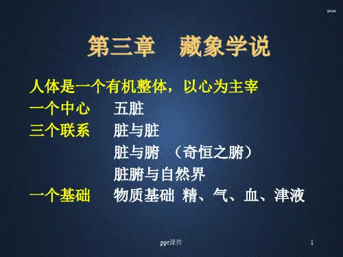 藏象学说  ppt课件