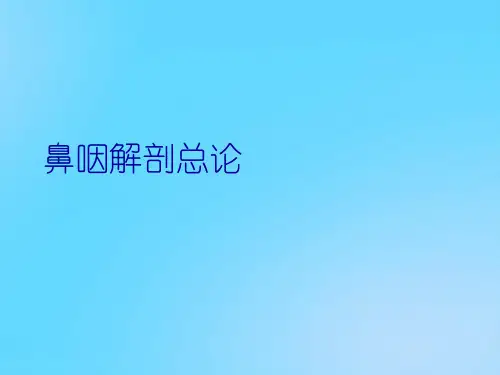 【优】鼻咽解剖总论PPT资料