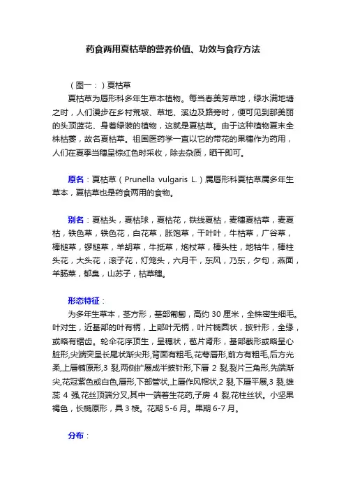 药食两用夏枯草的营养价值、功效与食疗方法