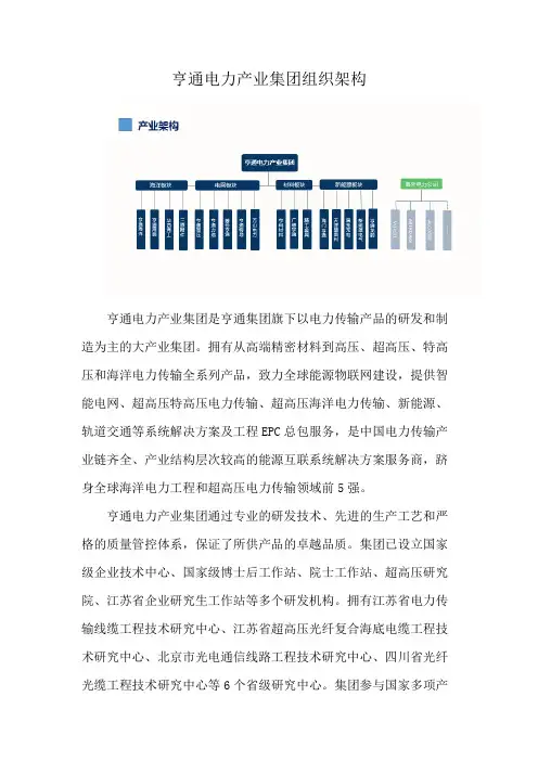 亨通电力产业集团组织架构