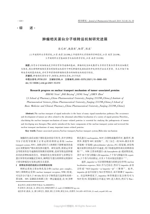 26432377_肿瘤相关蛋白分子核转运机制研究进展