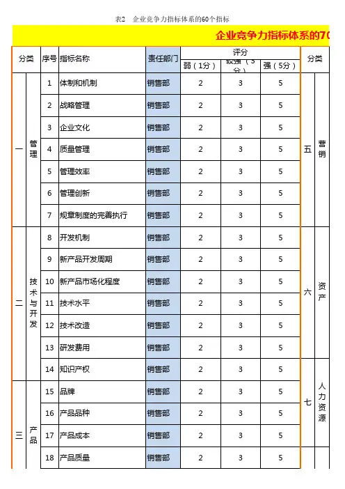 企业竞争力指标体系评分表模板