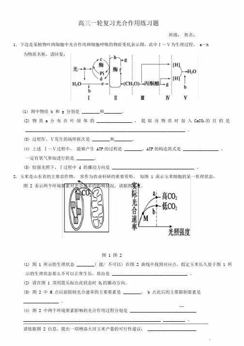 完整版高中生物一轮总结复习光合作用大题带含