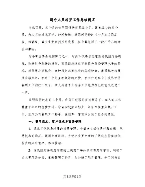 财务人员转正工作总结例文（5篇）