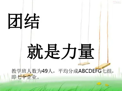 公司战略与风险管理第一讲PPT课件