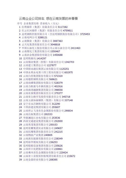 云南企业公司排名