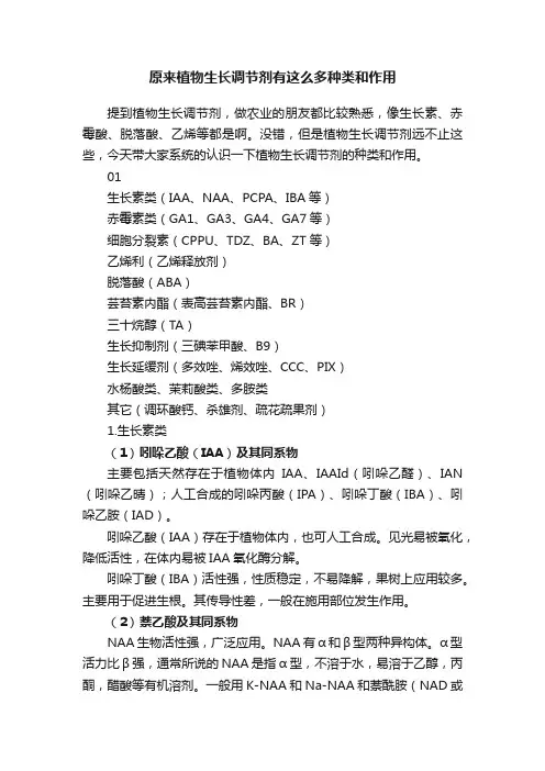 原来植物生长调节剂有这么多种类和作用